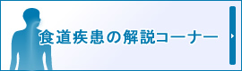 �H�������̉���R�[�i�[