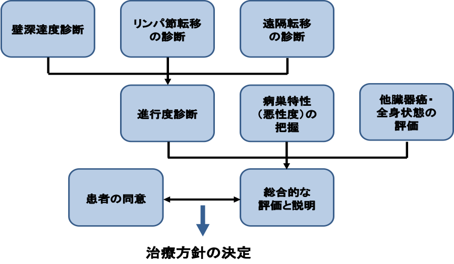 図8：食道がんの治療方針決定までの流れ