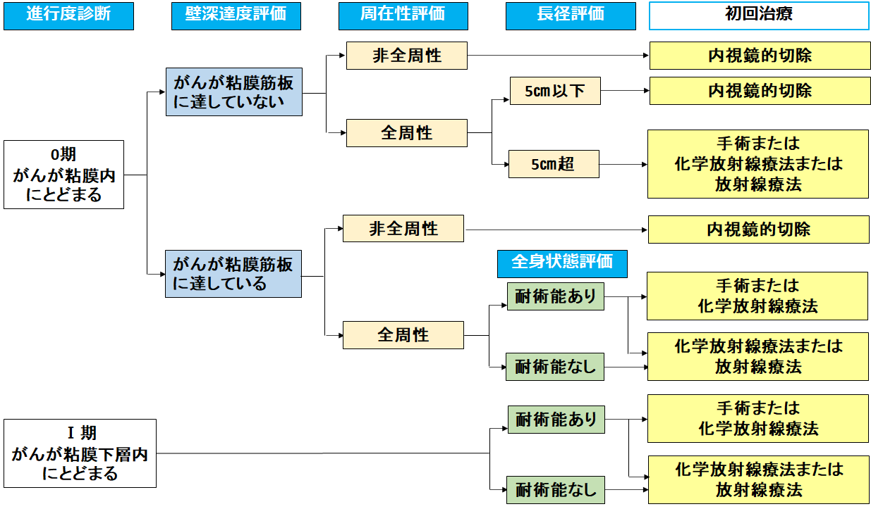 図16：ステージ0期、Ⅰ期食道がんに対する治療選択