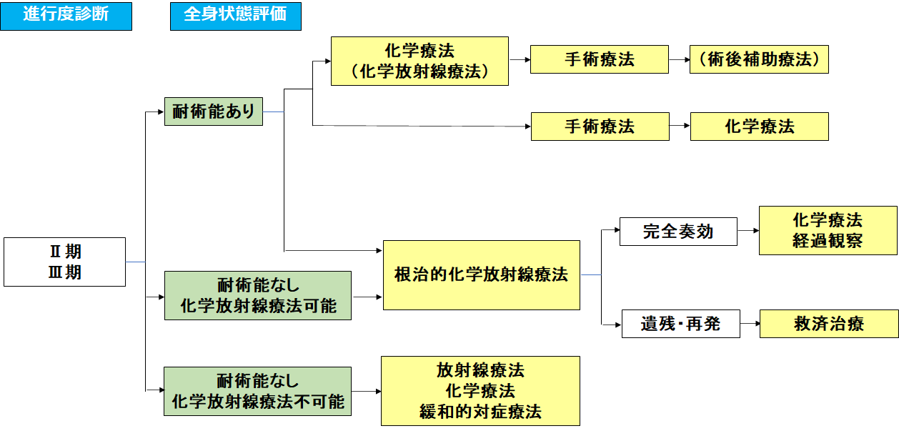 図17：ステージⅡ期、Ⅲ期食道がんに対する治療選択