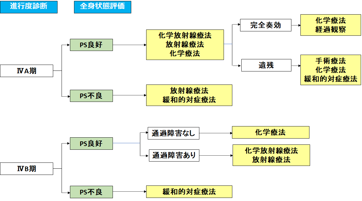 図18：ステージIV期食道がんに対する治療選択