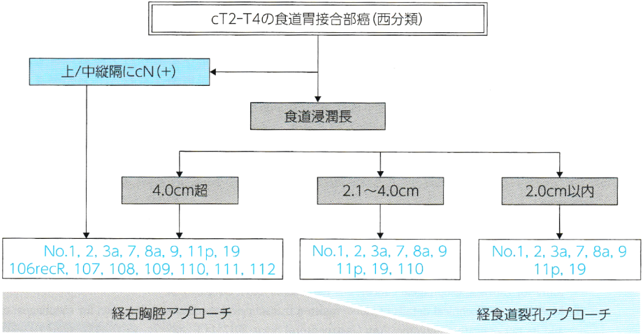 図36：食道胃接合部がんに対する手術アプローチとリンパ節郭清アルゴリズム（Kurokawa Y、 et al: Ann Surg。 2021; 274 （1）: 120-127、 Figure3より改変）