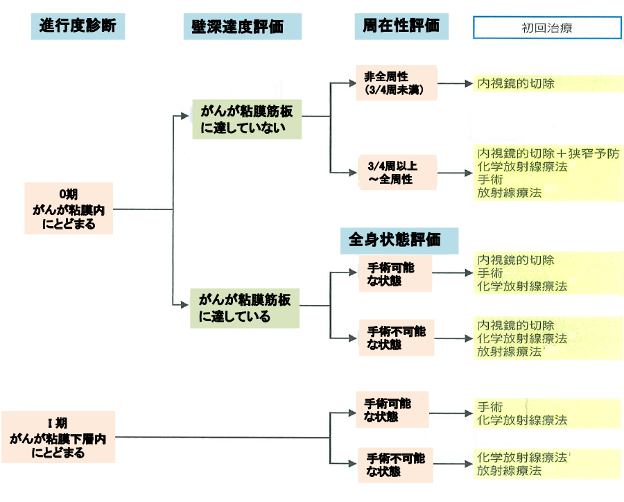 図32：ステージ　0期、I期食道がんの治療選択