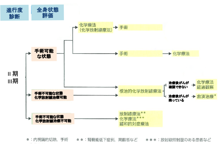 図33：ステージII期、III期食道がんの治療選択
