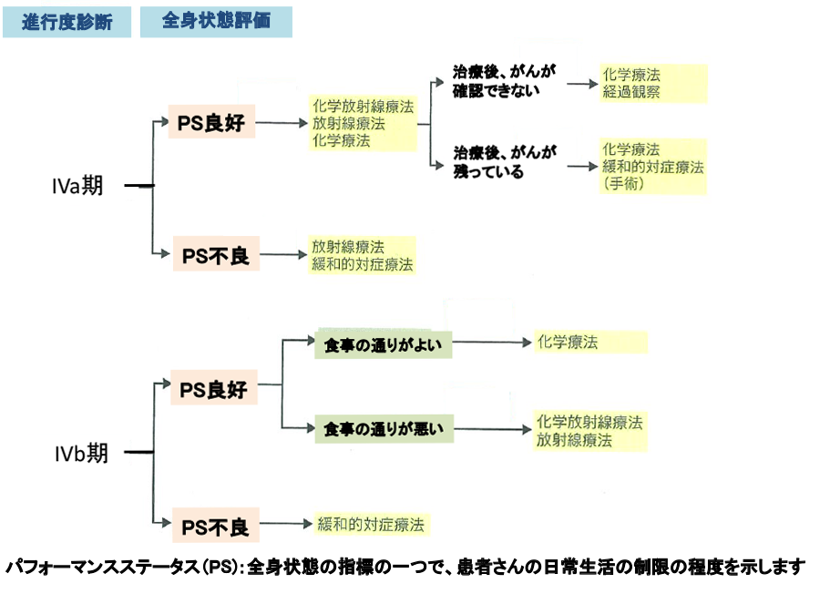 図34：ステージIV期食道がんの治療選択